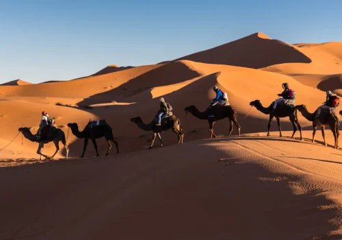 marocco